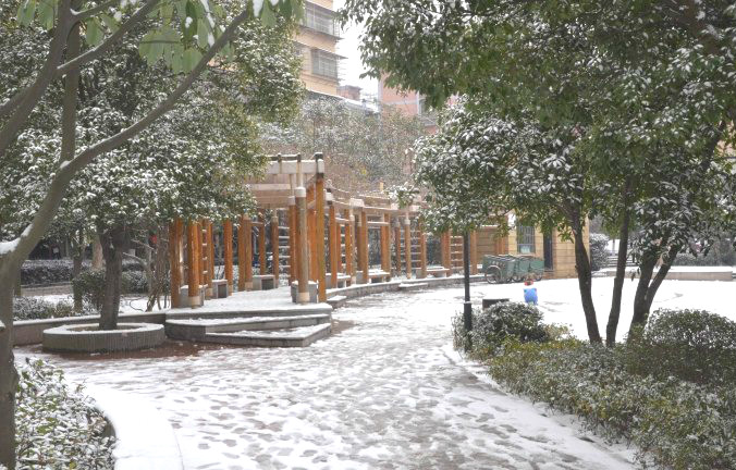 初雪逢周末，多个项目及时展开清理工作